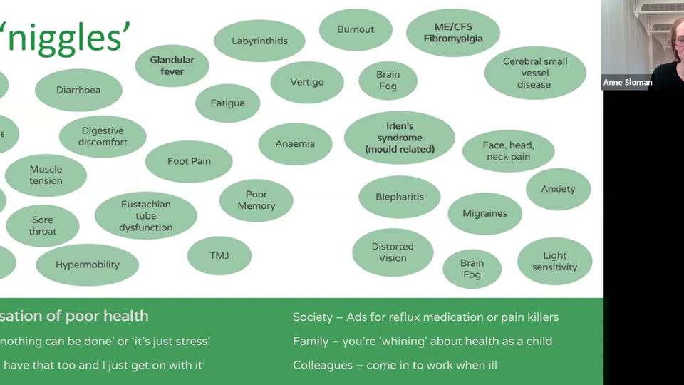 Niggles & the Normalisation of Poor Health